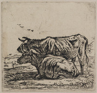 TvB G 0628
<br/>
Twee koeien
<br/>
<em>Cuyp, Aelbert (1620-1691)</em>